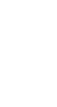 IT Eden